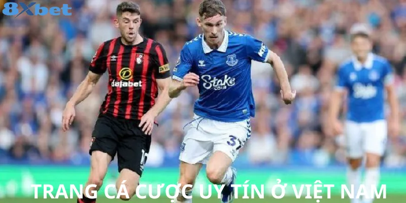 Top trang cá cược hợp pháp ở việt nam – Uy tín nhất 3 Sân chơi cá cược AW8